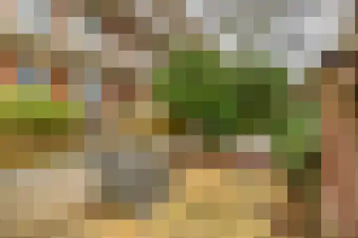 Jan Pannebakkerhof 11 Waalwijk thumbnail 20