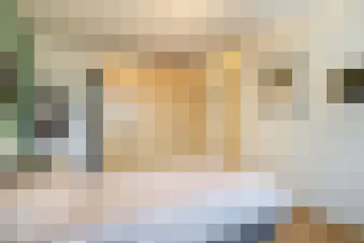 Jan Pannebakkerhof 11 Waalwijk thumbnail 22