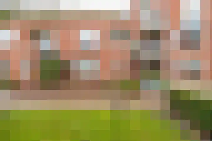 Jan Pannebakkerhof 11 Waalwijk thumbnail 4