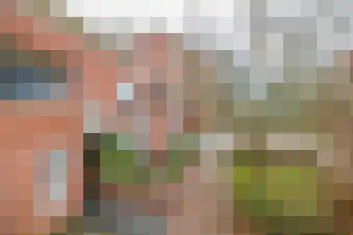 Jan Pannebakkerhof 11 Waalwijk thumbnail 9