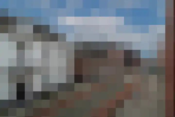 Jan Pannebakkerhof 22 Waalwijk thumbnail 13