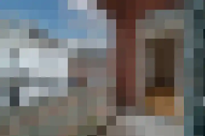 Jan Pannebakkerhof 22 Waalwijk thumbnail 14