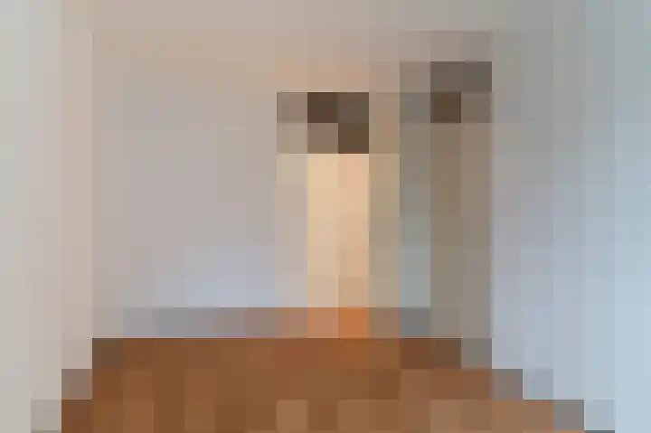Jan Pannebakkerhof 22 Waalwijk thumbnail 25