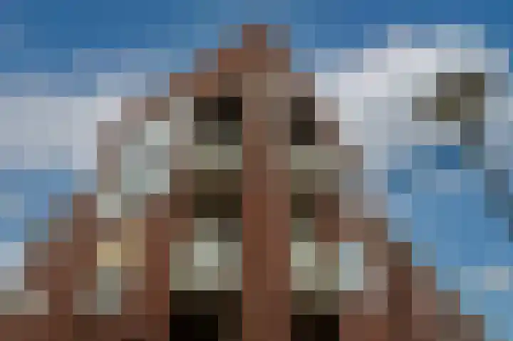 Jan Pannebakkerhof 22 Waalwijk thumbnail 36