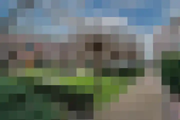 Jan Pannebakkerhof 22 Waalwijk thumbnail 39