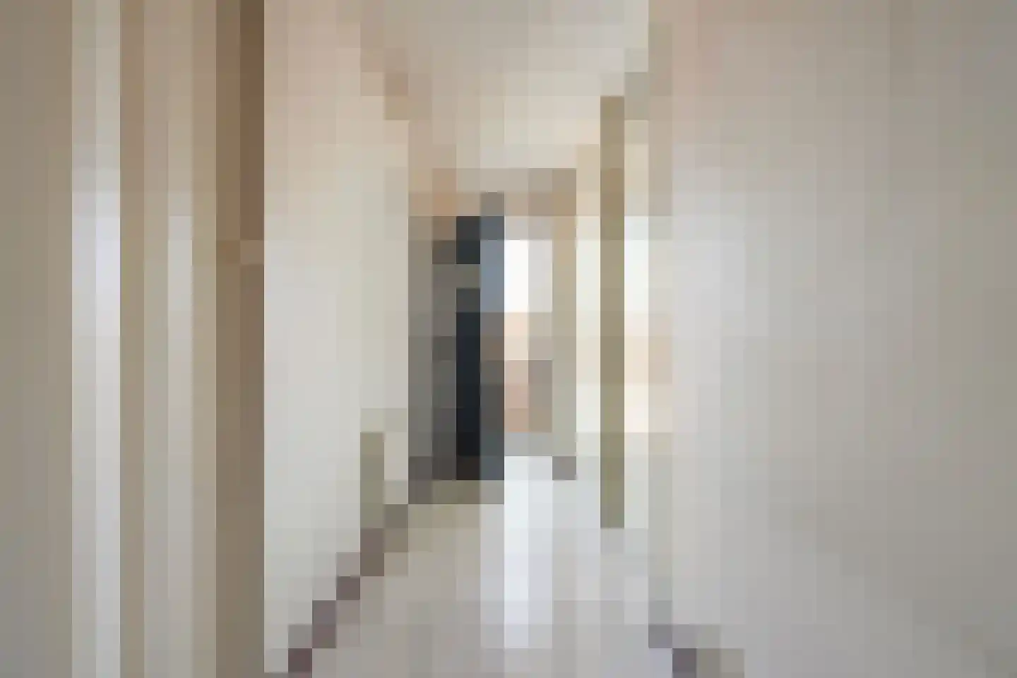 Jan Pannebakkerhof 24 Waalwijk thumbnail 10