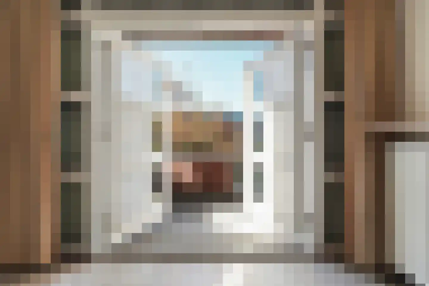 Jan Pannebakkerhof 24 Waalwijk thumbnail 16