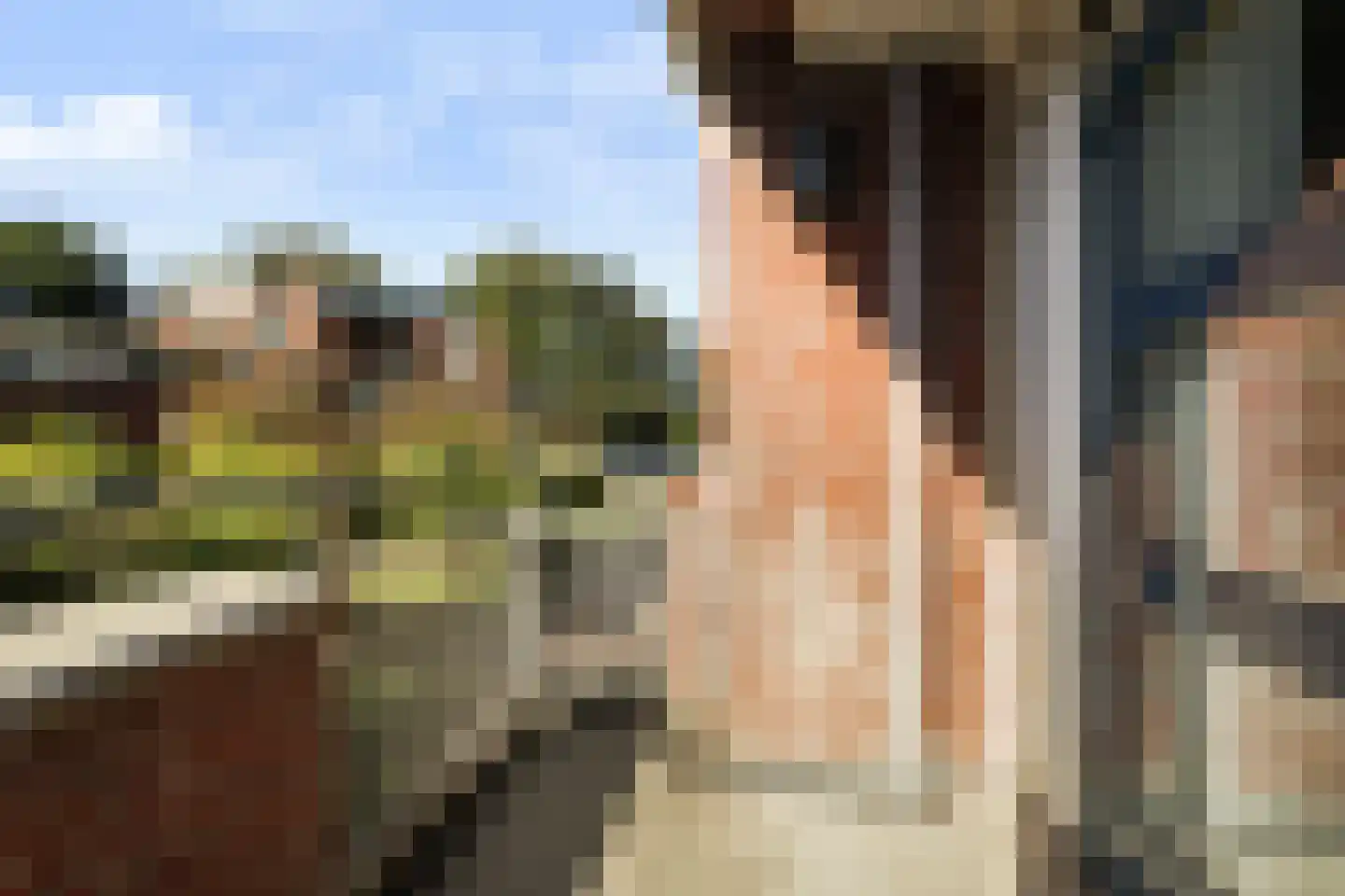 Jan Pannebakkerhof 24 Waalwijk thumbnail 18