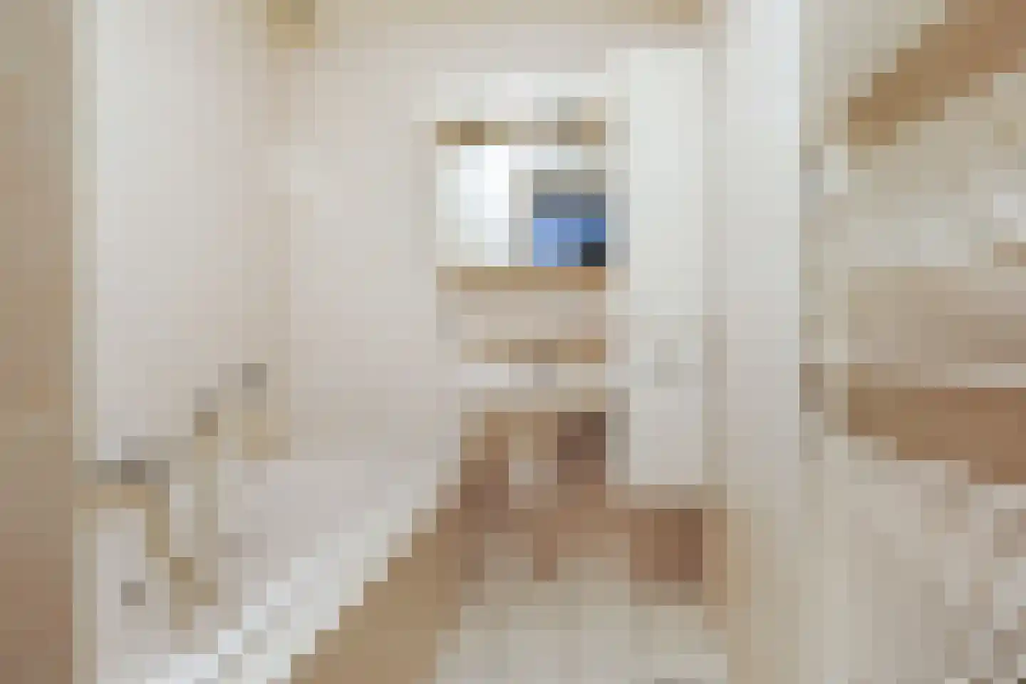 Jan Pannebakkerhof 24 Waalwijk thumbnail 24