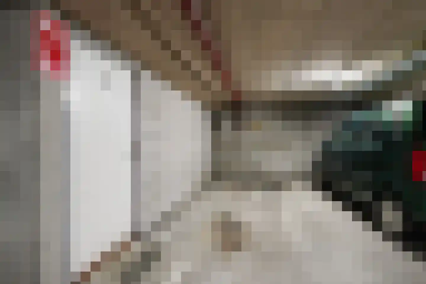 Jan Pannebakkerhof 24 Waalwijk thumbnail 30