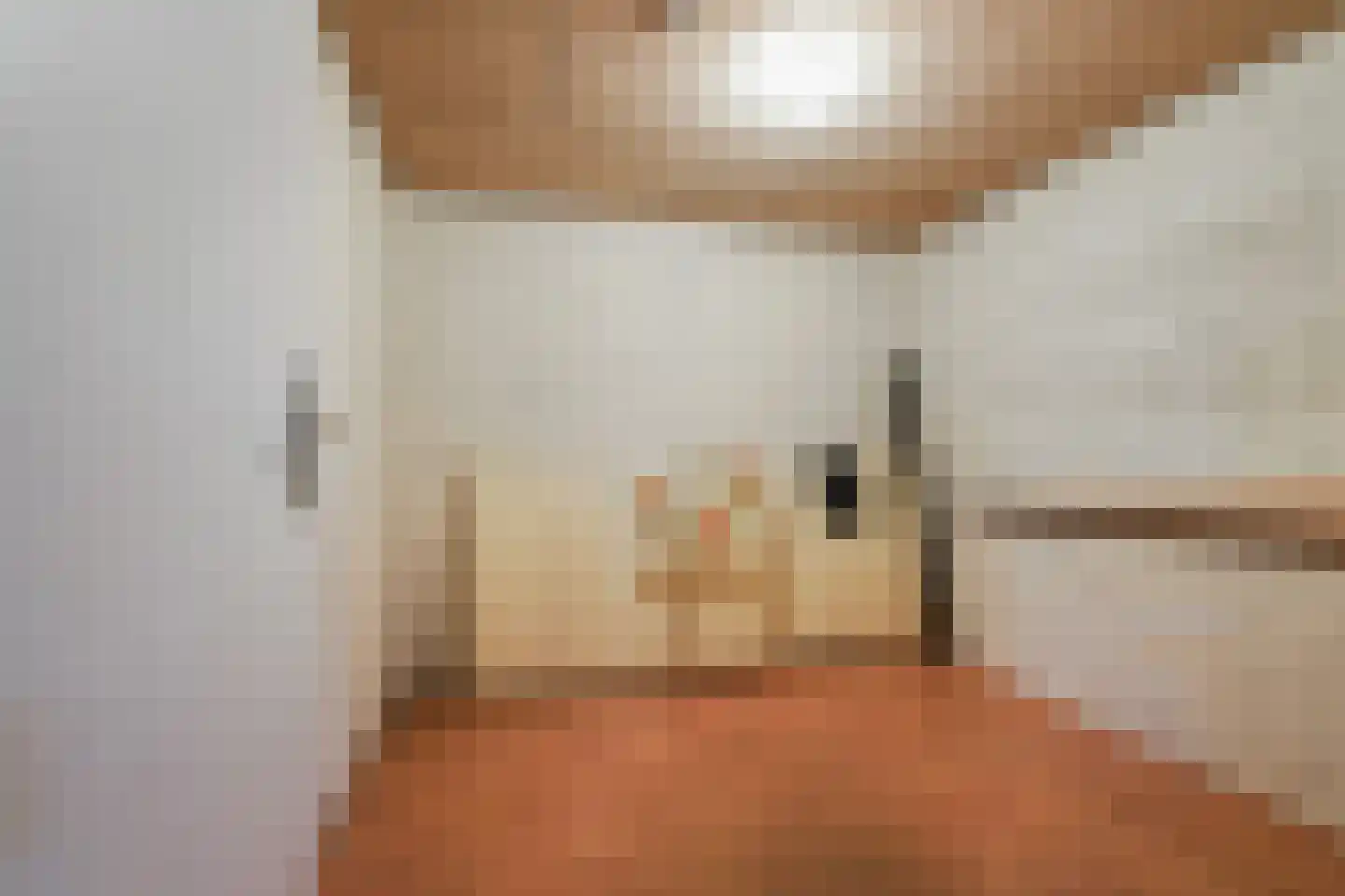 Jan Pannebakkerhof 24 Waalwijk thumbnail 31