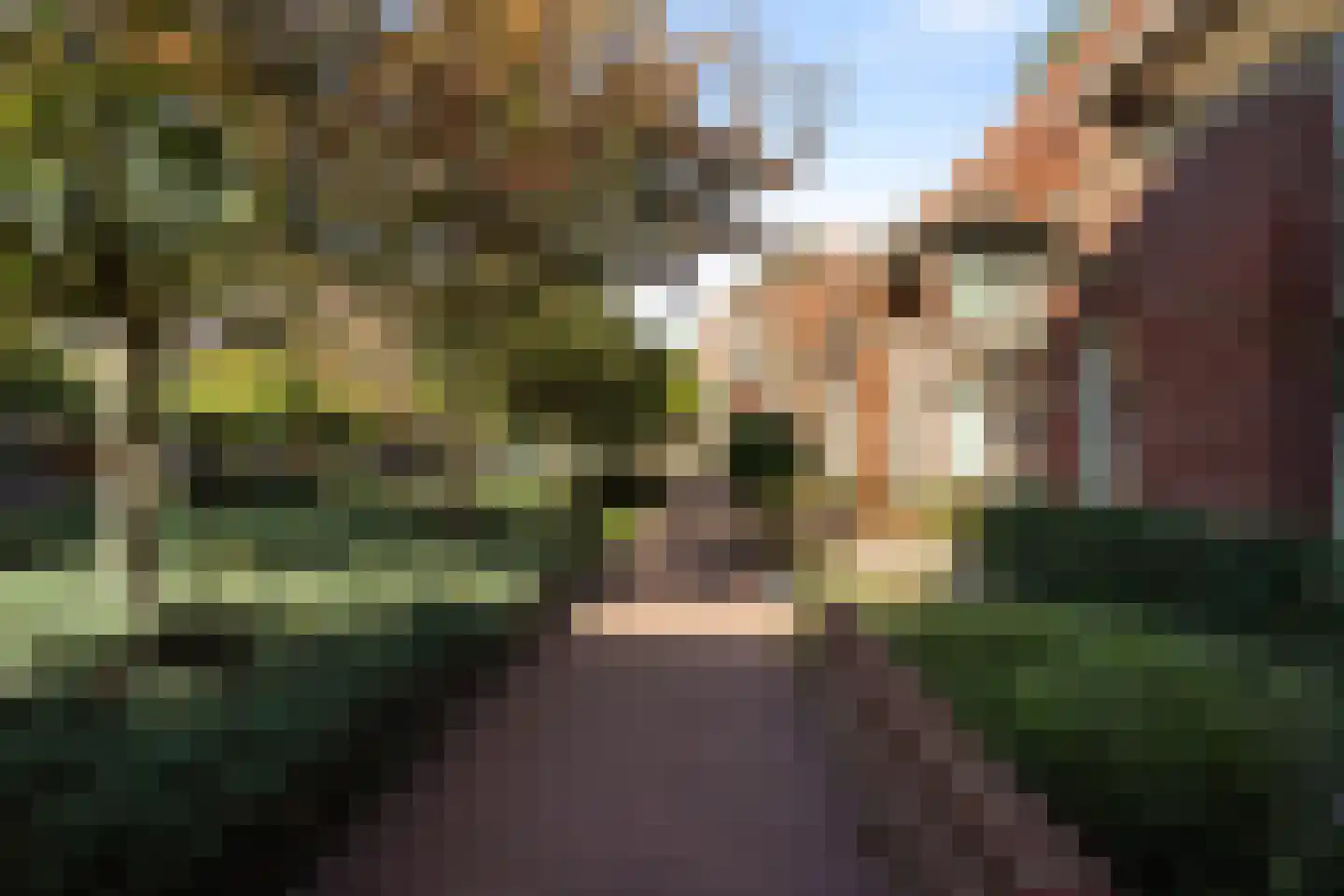 Jan Pannebakkerhof 24 Waalwijk thumbnail 33