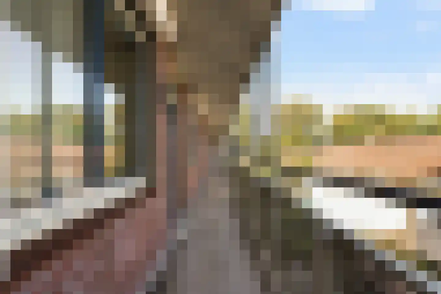 Jan Pannebakkerhof 24 Waalwijk thumbnail 9