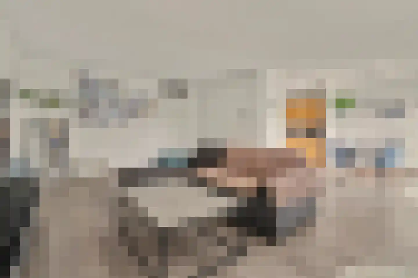 Jan Pannebakkerhof 25 Waalwijk thumbnail 10