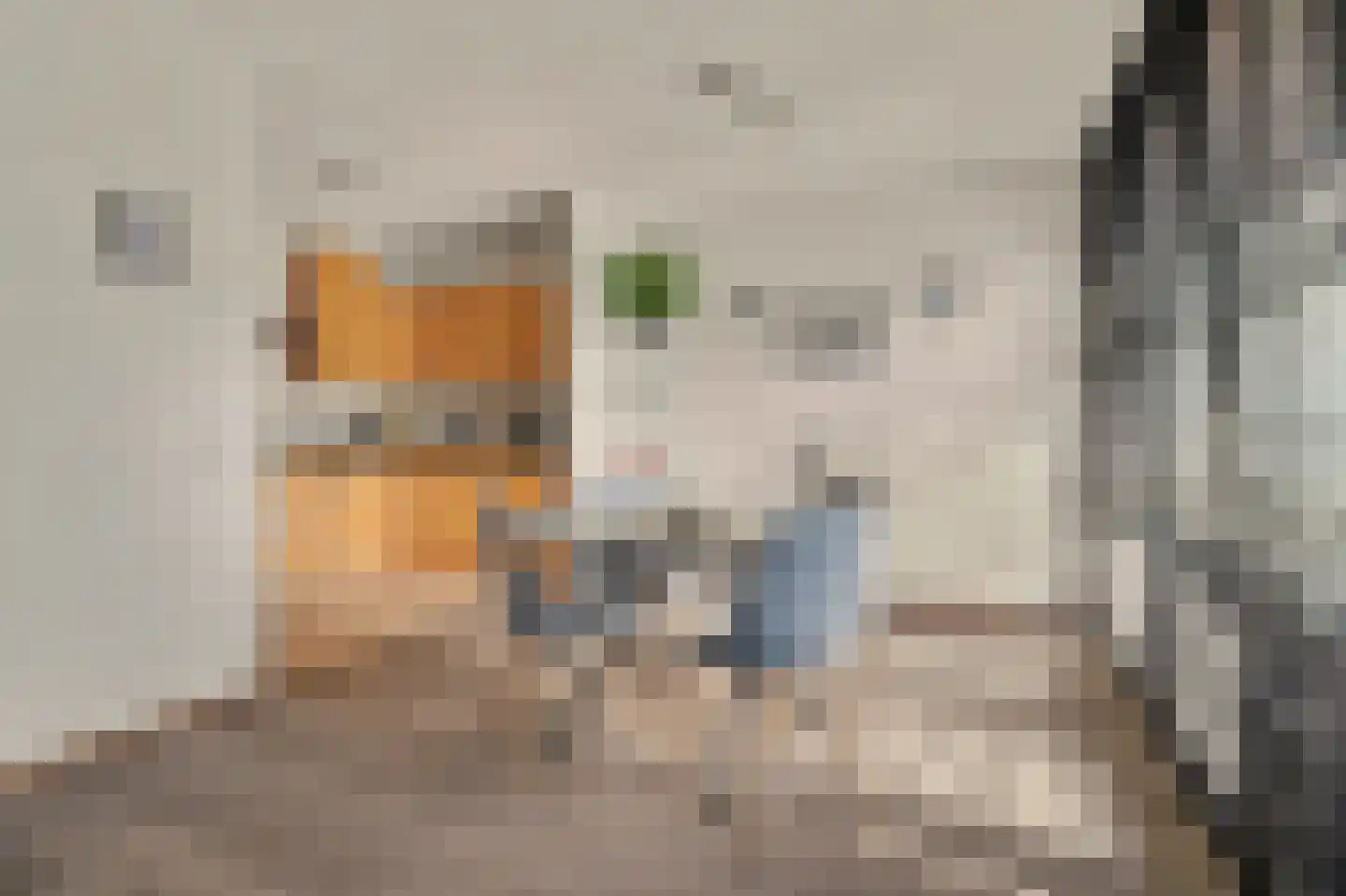 Jan Pannebakkerhof 25 Waalwijk thumbnail 12