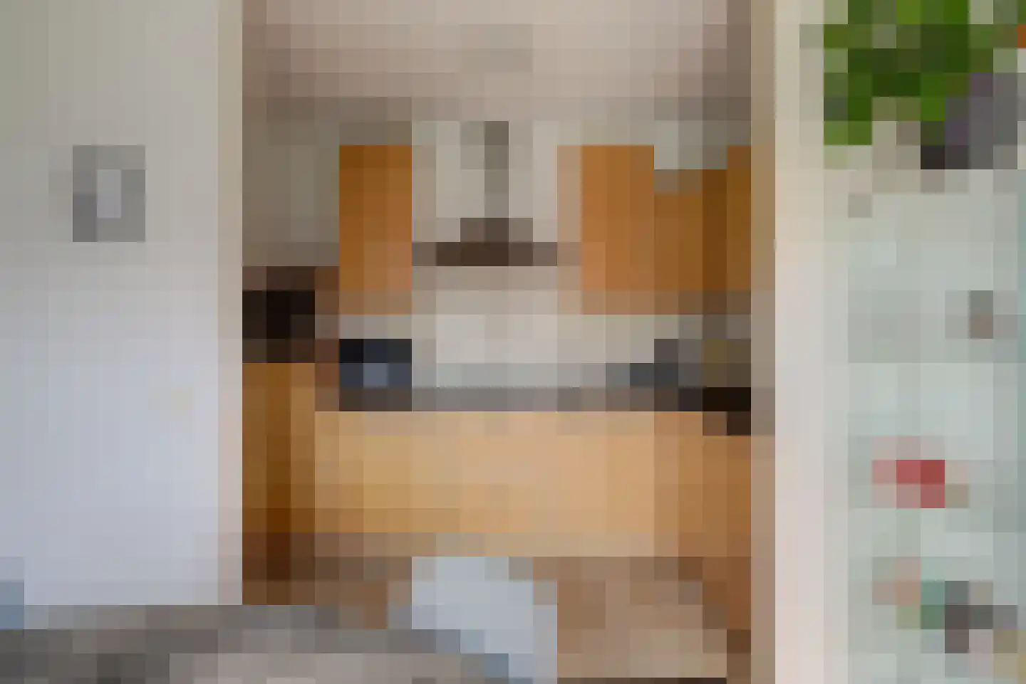 Jan Pannebakkerhof 25 Waalwijk thumbnail 15