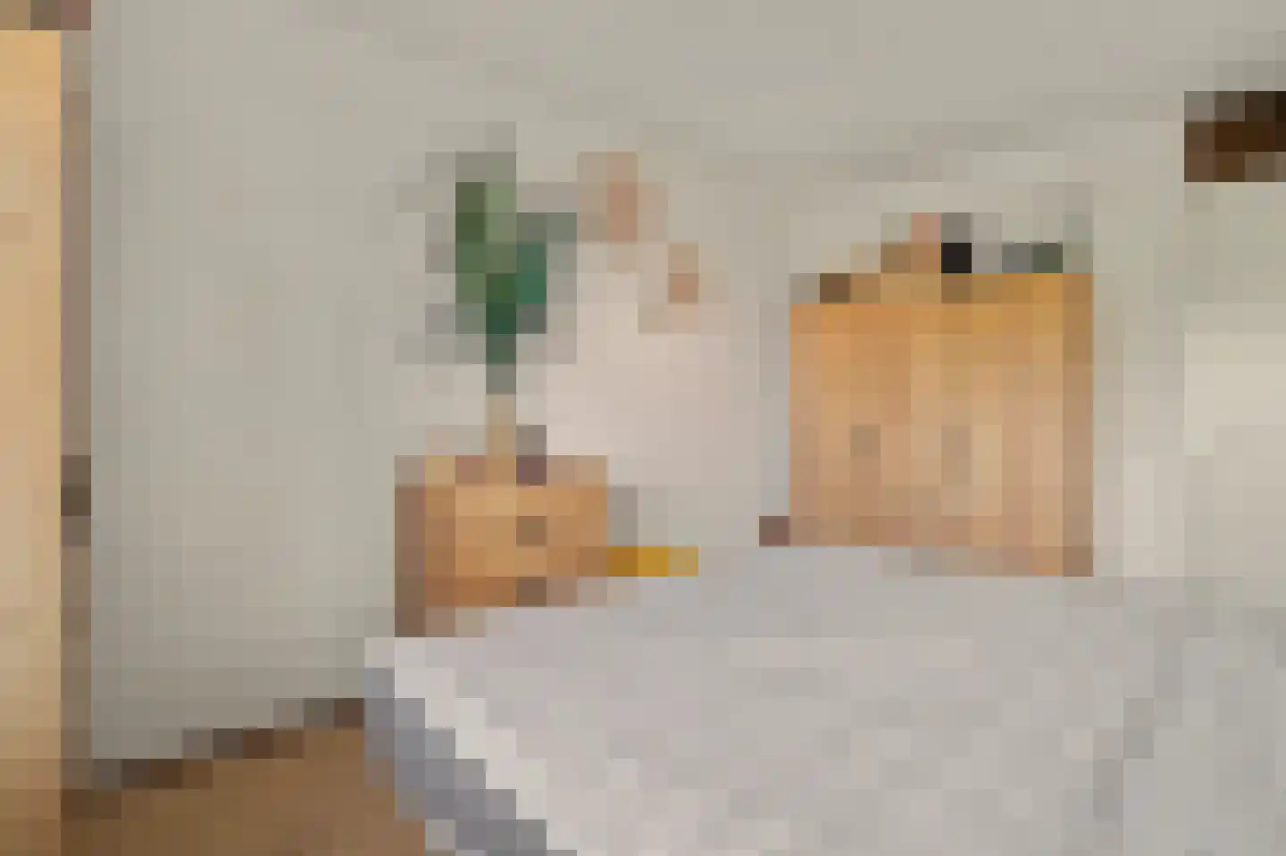 Jan Pannebakkerhof 25 Waalwijk thumbnail 18