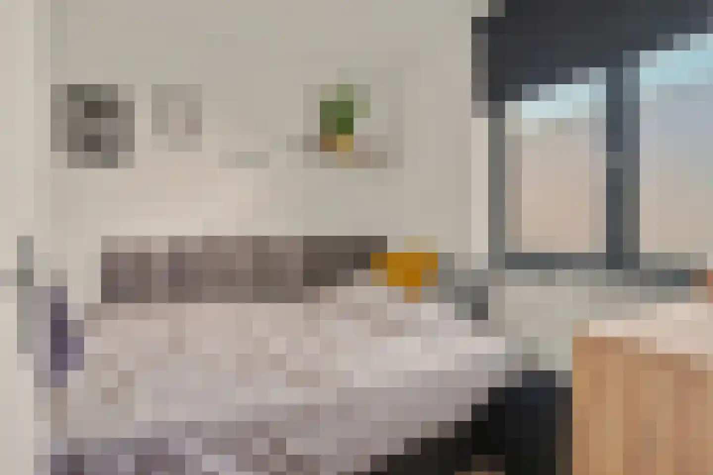 Jan Pannebakkerhof 25 Waalwijk thumbnail 19