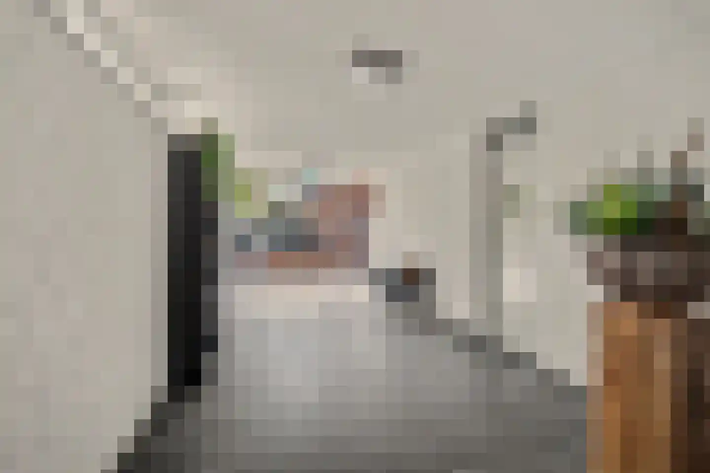 Jan Pannebakkerhof 25 Waalwijk thumbnail 26