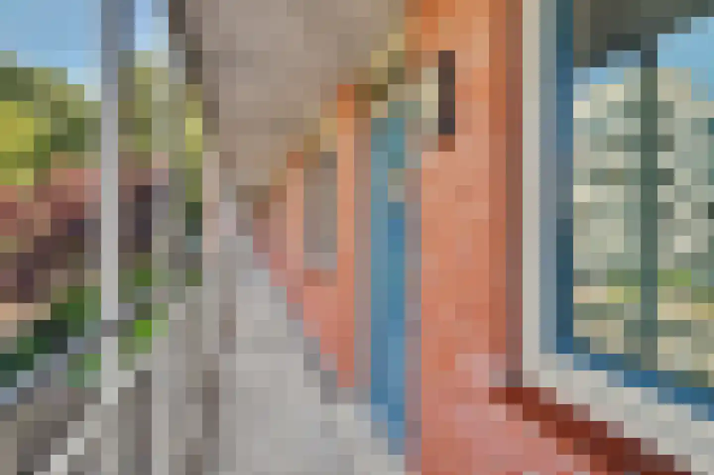 Jan Pannebakkerhof 25 Waalwijk thumbnail 7