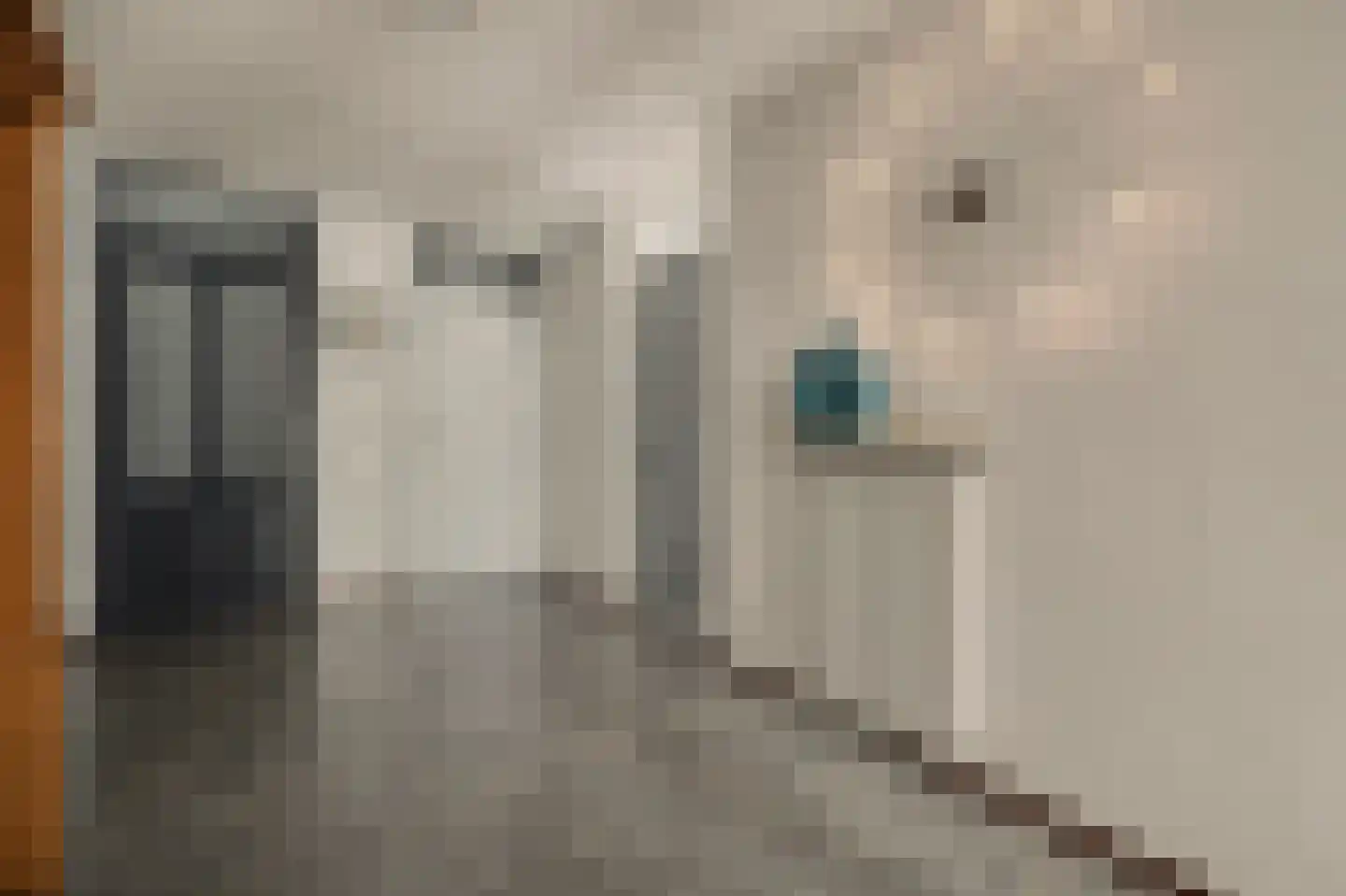 Jan Pannebakkerhof 35 Waalwijk thumbnail 10