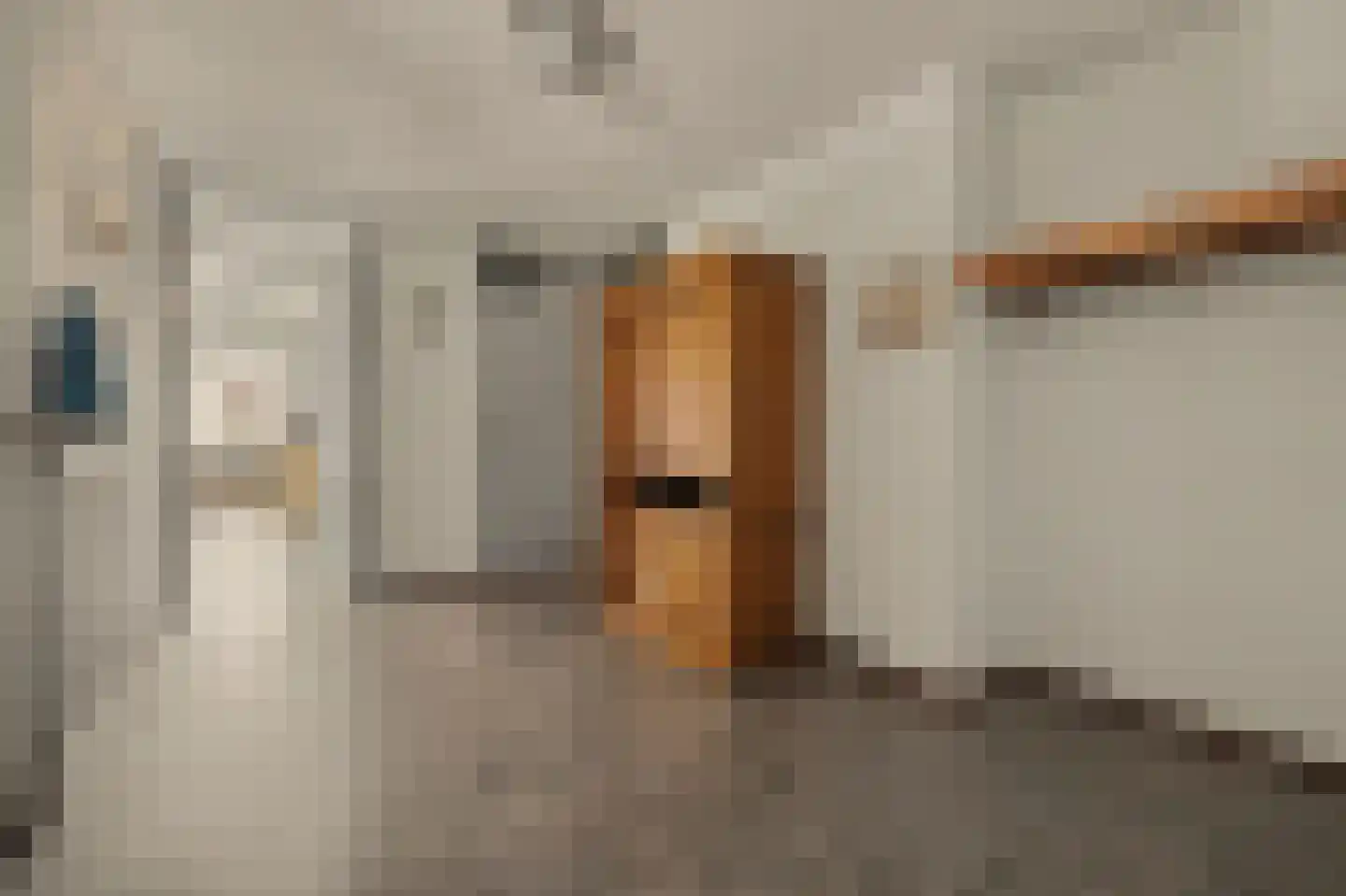 Jan Pannebakkerhof 35 Waalwijk thumbnail 11