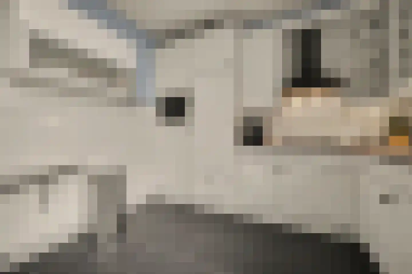 Jan Pannebakkerhof 35 Waalwijk thumbnail 18