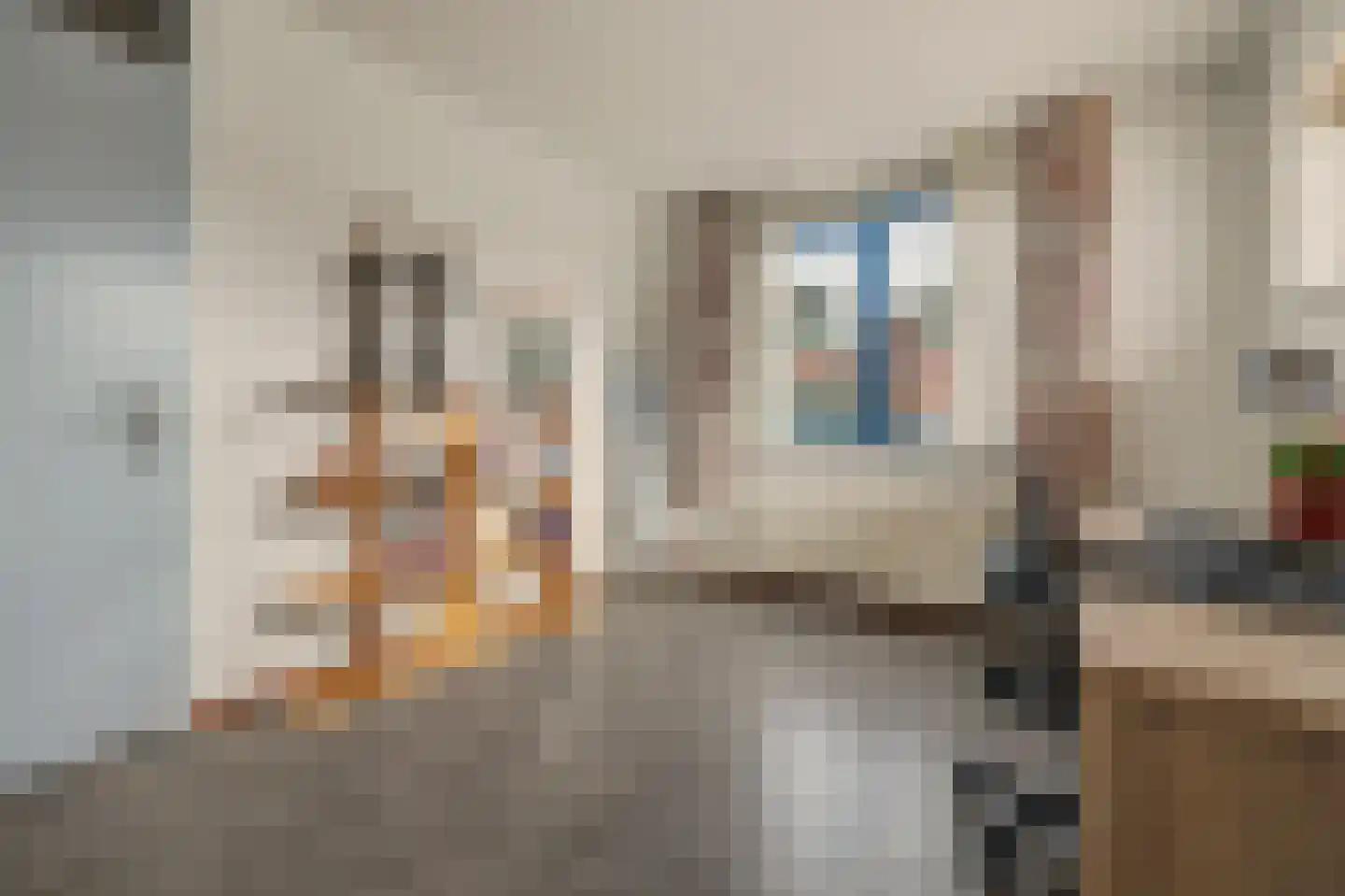 Jan Pannebakkerhof 35 Waalwijk thumbnail 22
