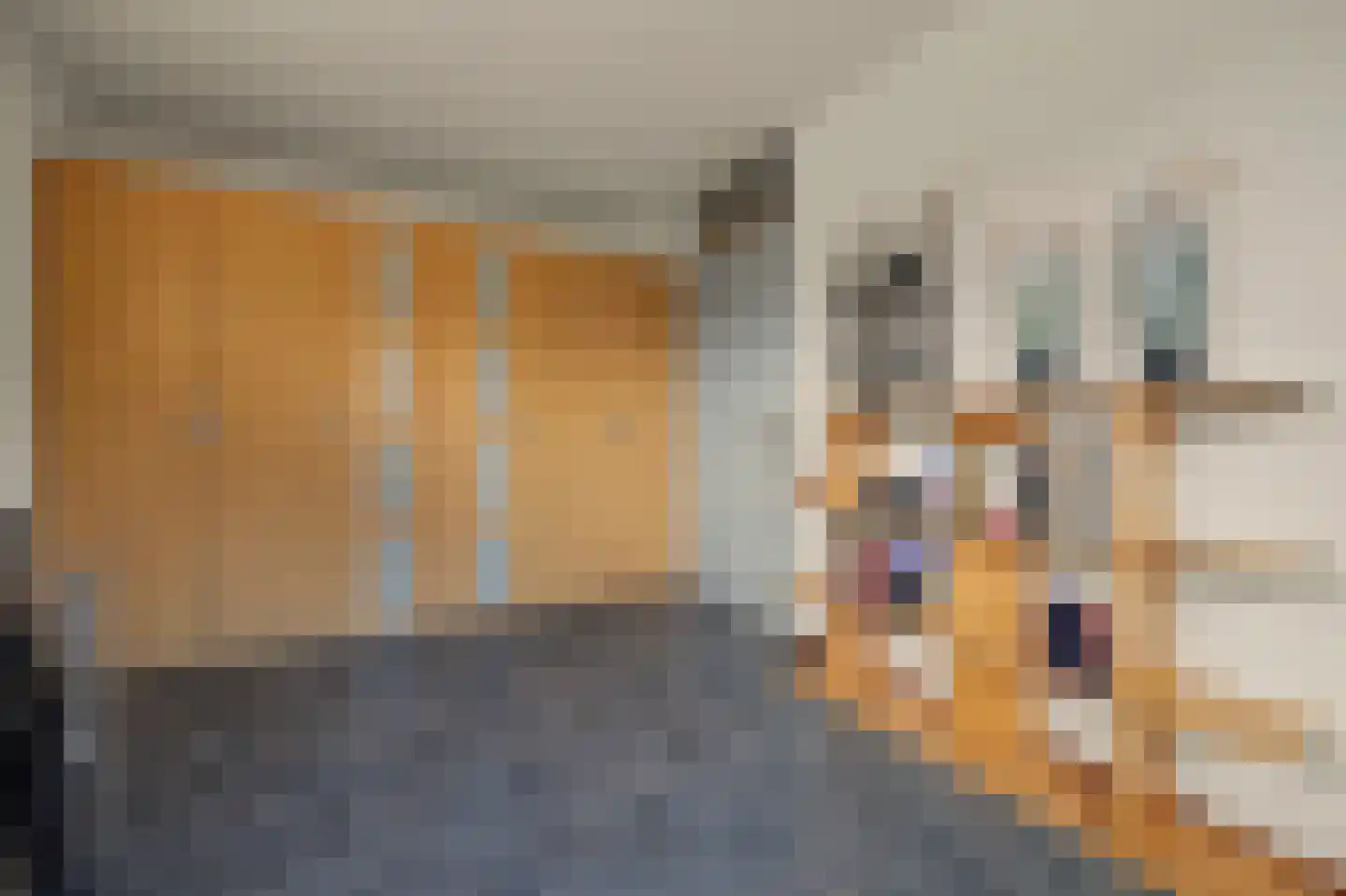 Jan Pannebakkerhof 35 Waalwijk thumbnail 23
