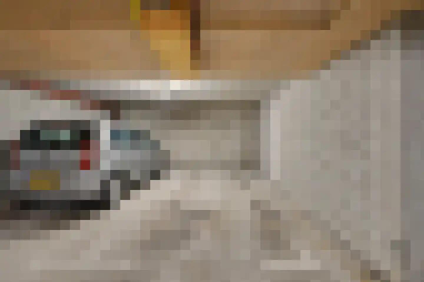 Jan Pannebakkerhof 35 Waalwijk thumbnail 29