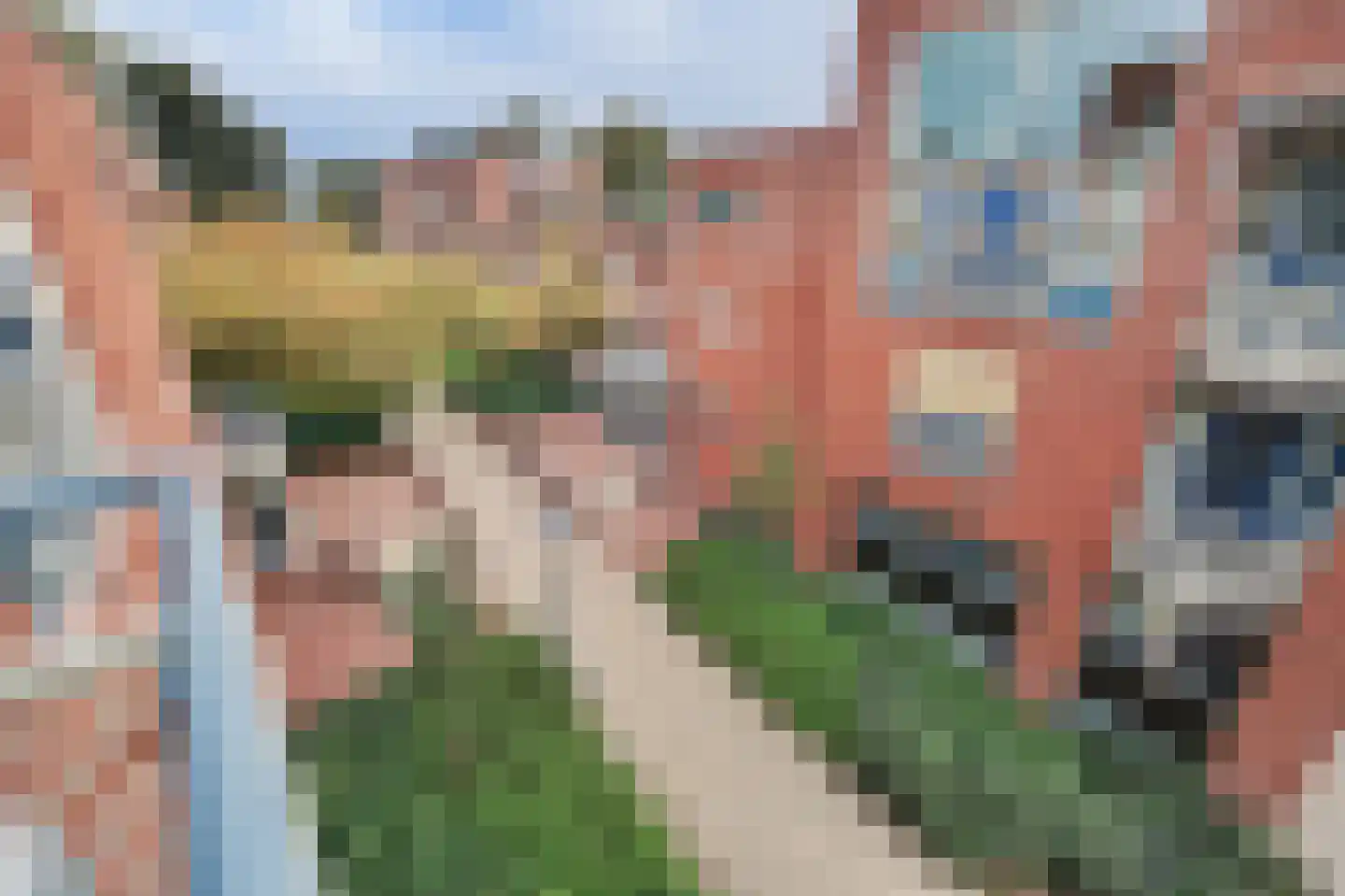 Jan Pannebakkerhof 35 Waalwijk thumbnail 32