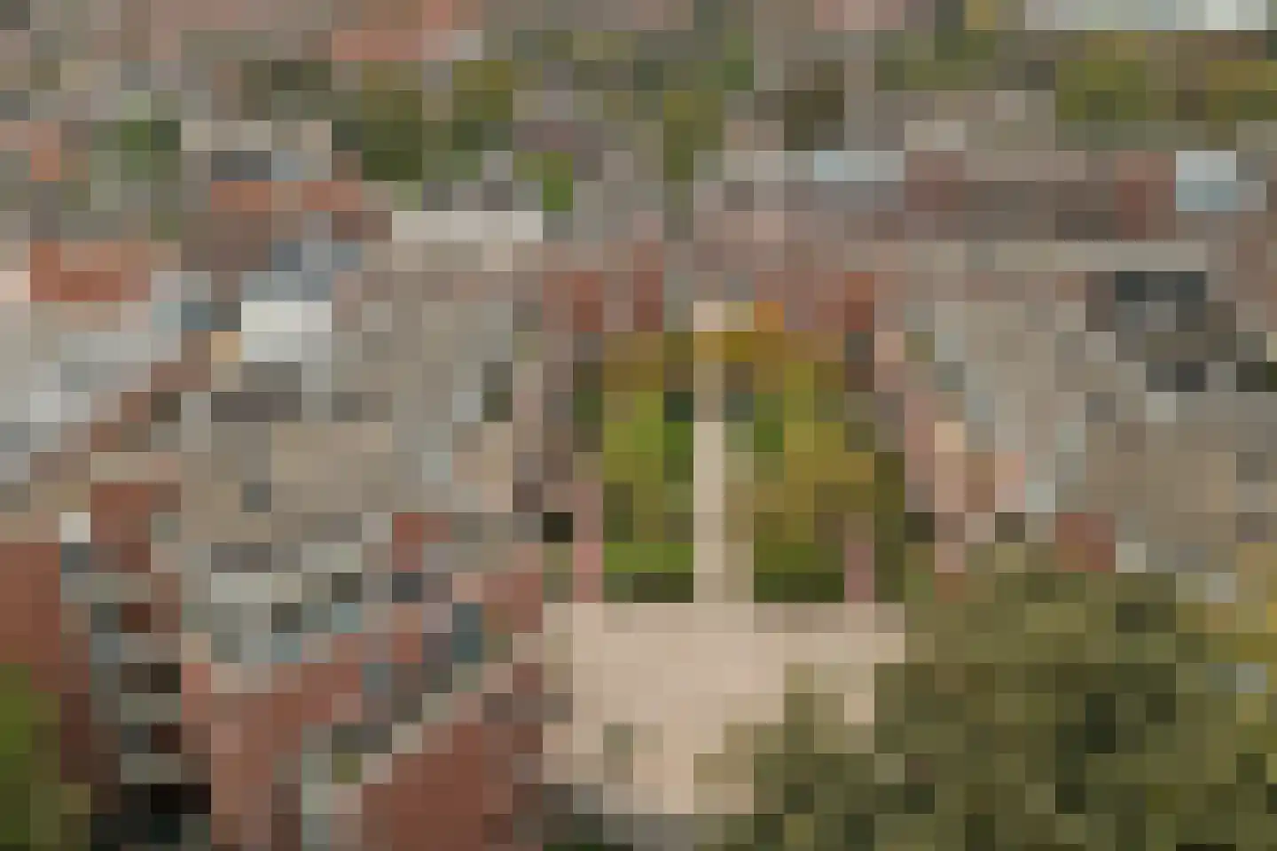 Jan Pannebakkerhof 35 Waalwijk thumbnail 35