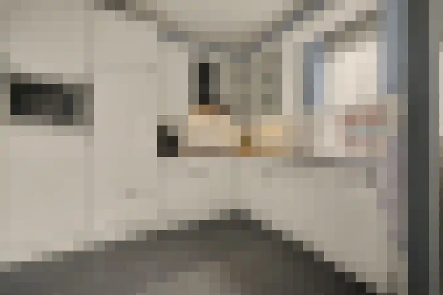 Jan Pannebakkerhof 35 Waalwijk thumbnail 4