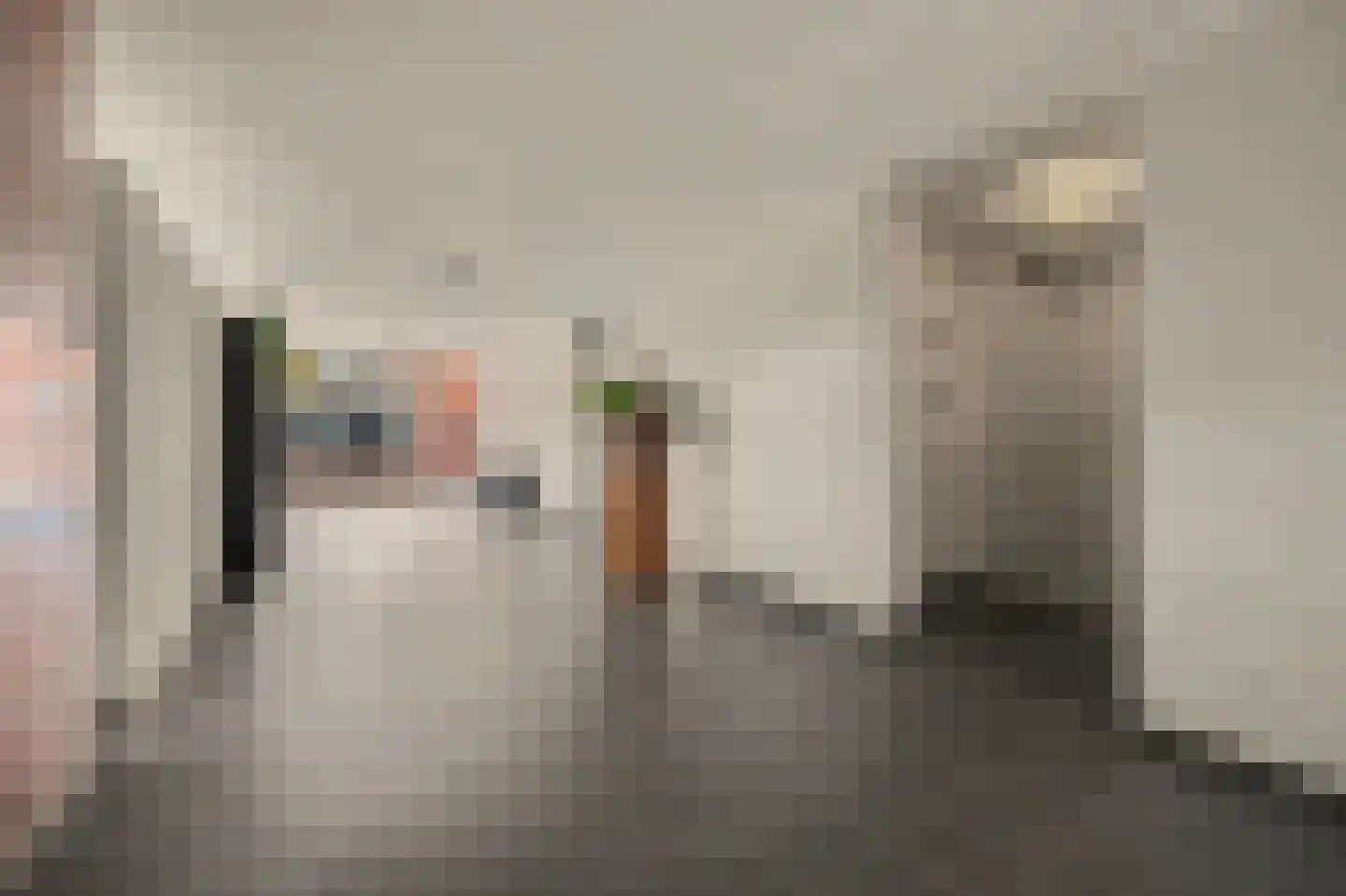 Jan Pannebakkerhof 35 Waalwijk thumbnail 8