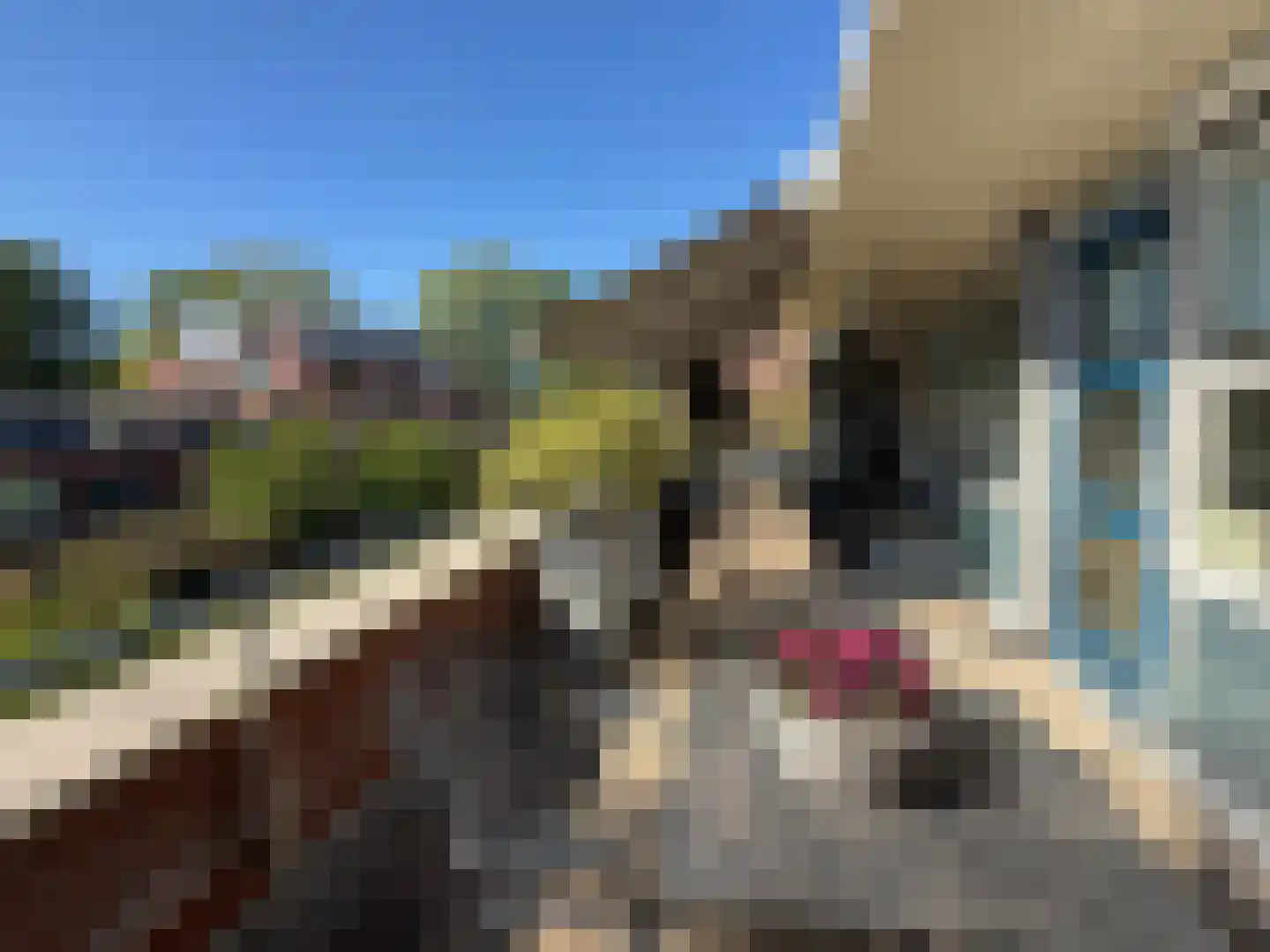 Jan Pannebakkerhof 42 Waalwijk thumbnail 10