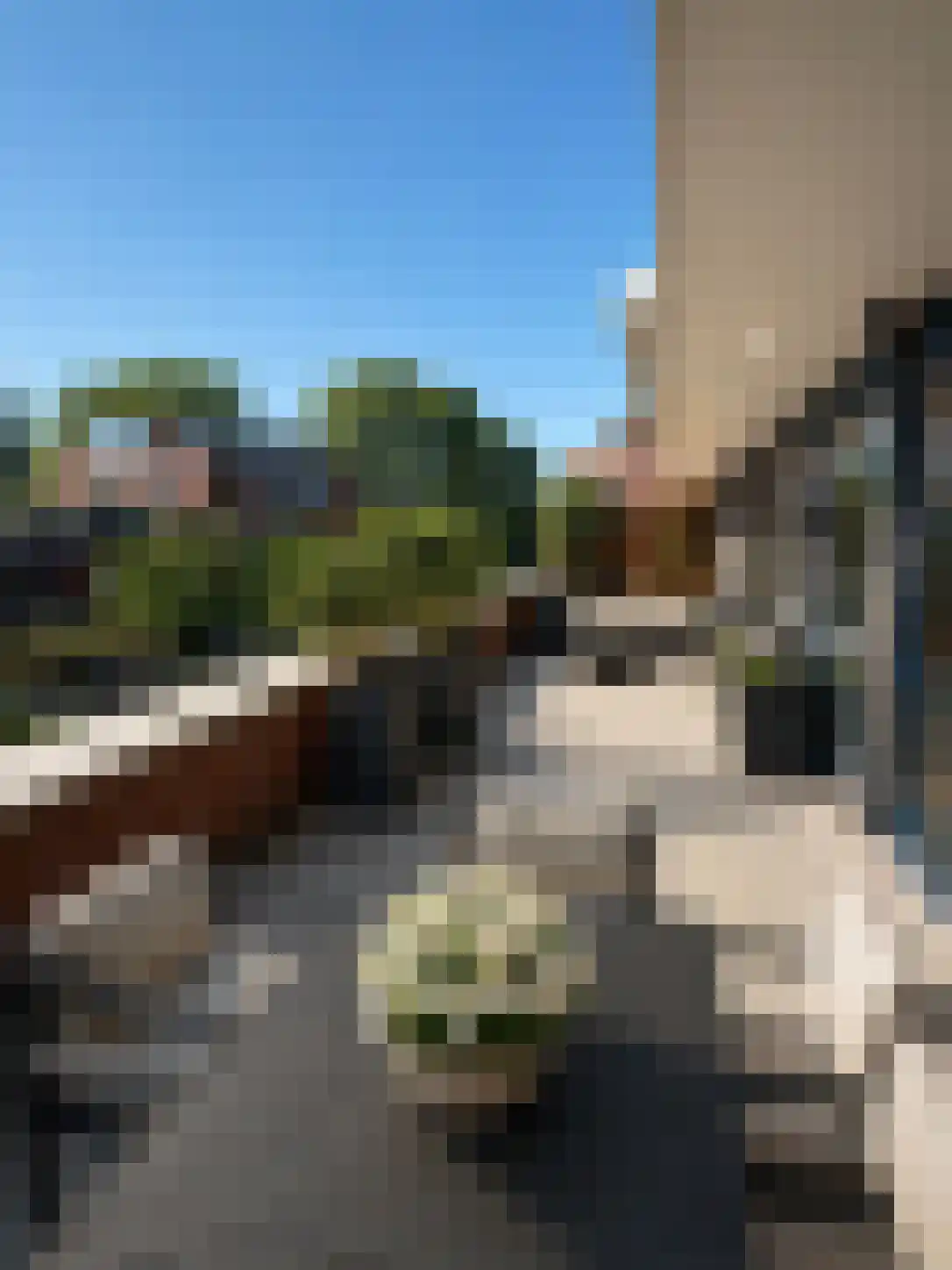 Jan Pannebakkerhof 42 Waalwijk thumbnail 12