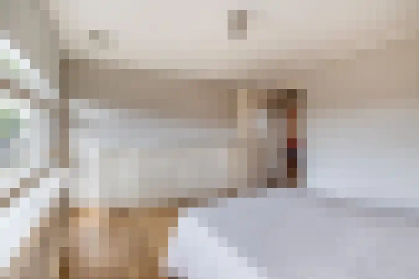 Jan Pannebakkerhof 42 Waalwijk thumbnail 15