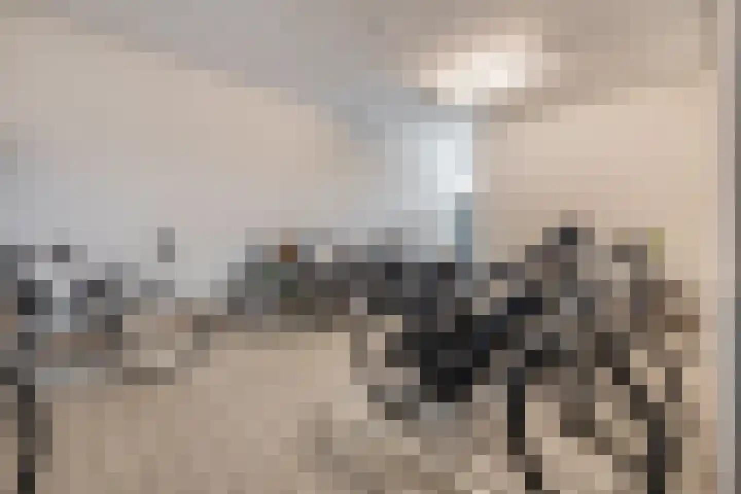Jan Pannebakkerhof 42 Waalwijk thumbnail 27