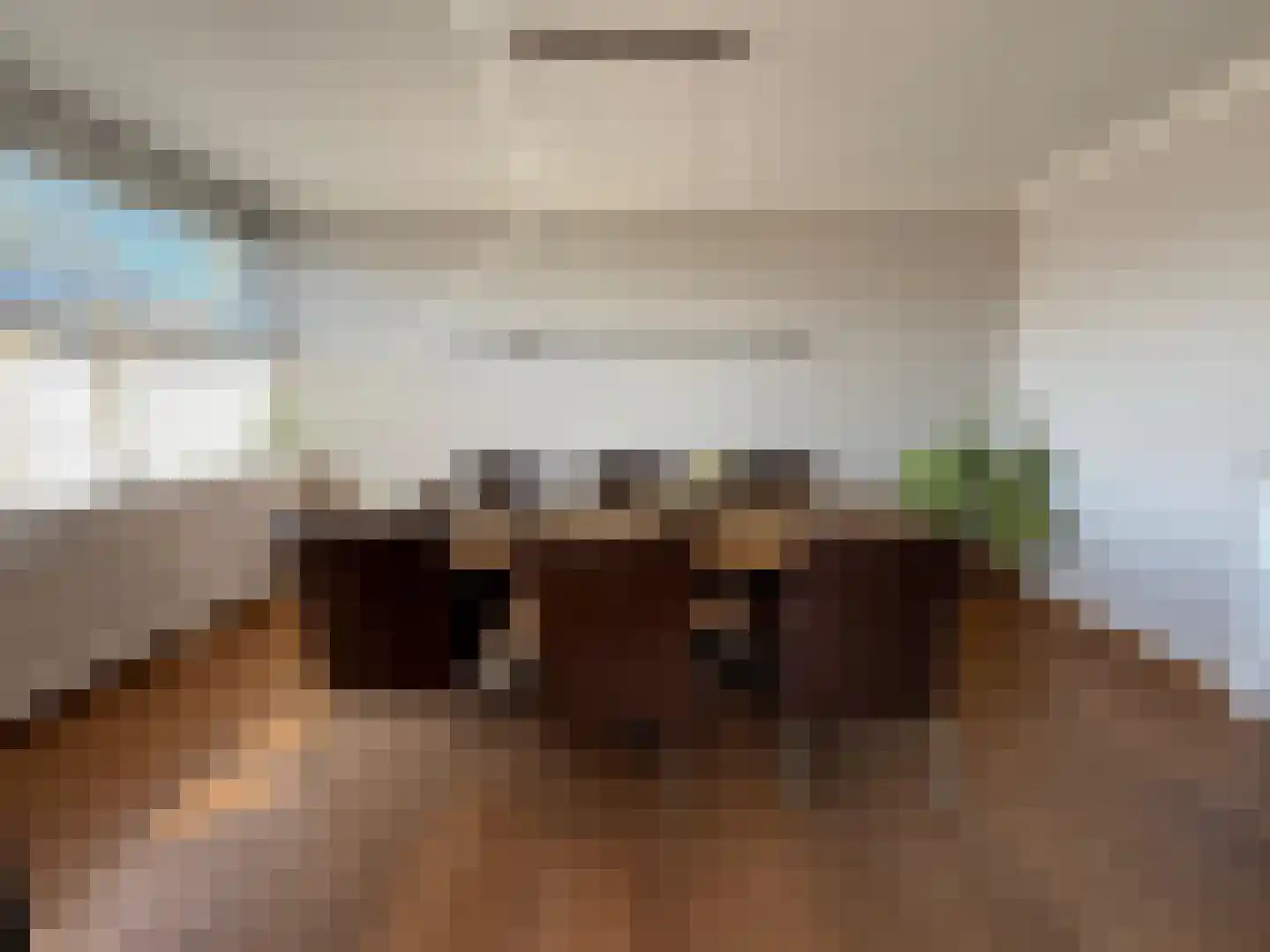 Jan Pannebakkerhof 42 Waalwijk thumbnail 6