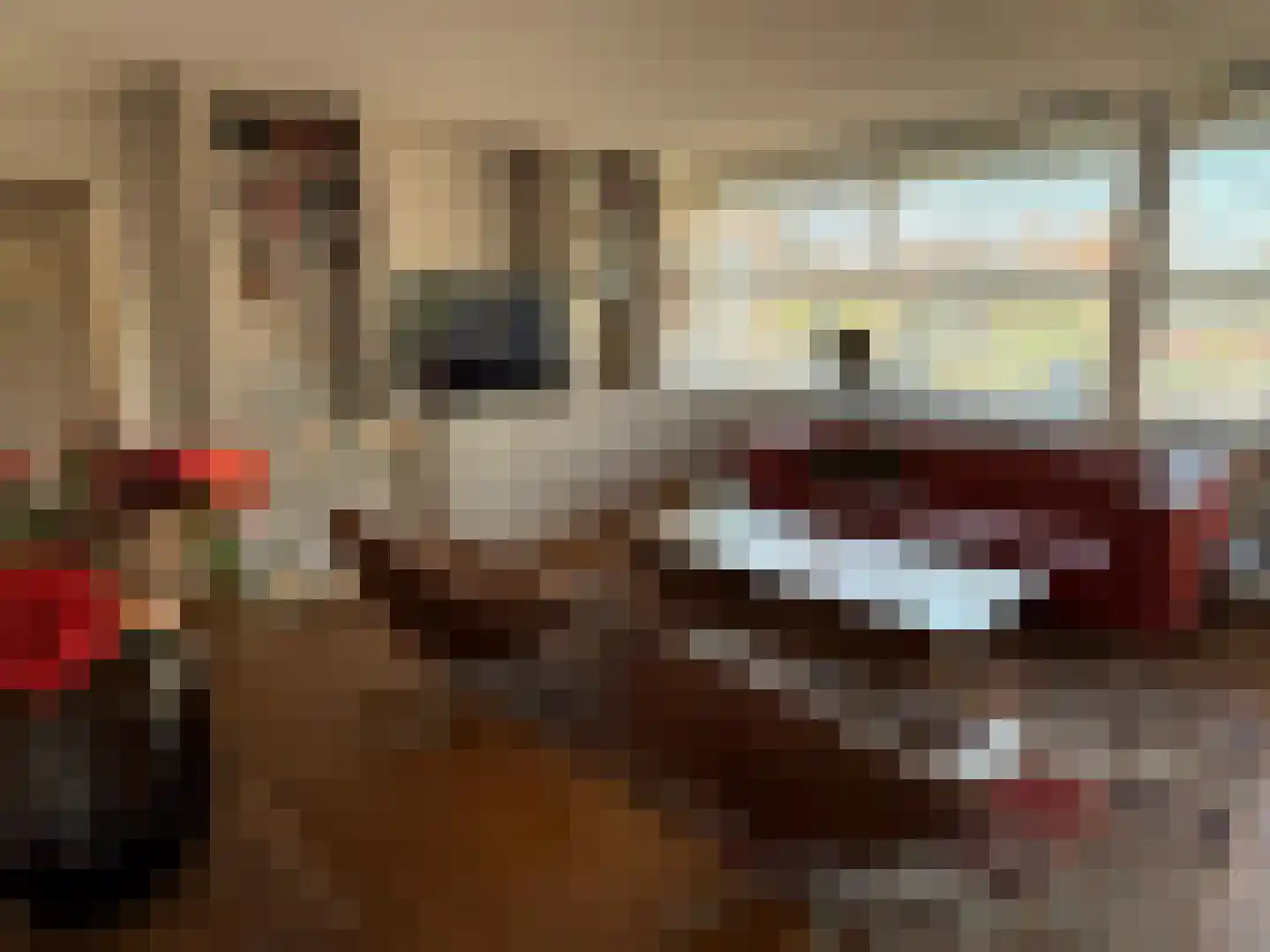 Jan Pannebakkerhof 42 Waalwijk thumbnail 7
