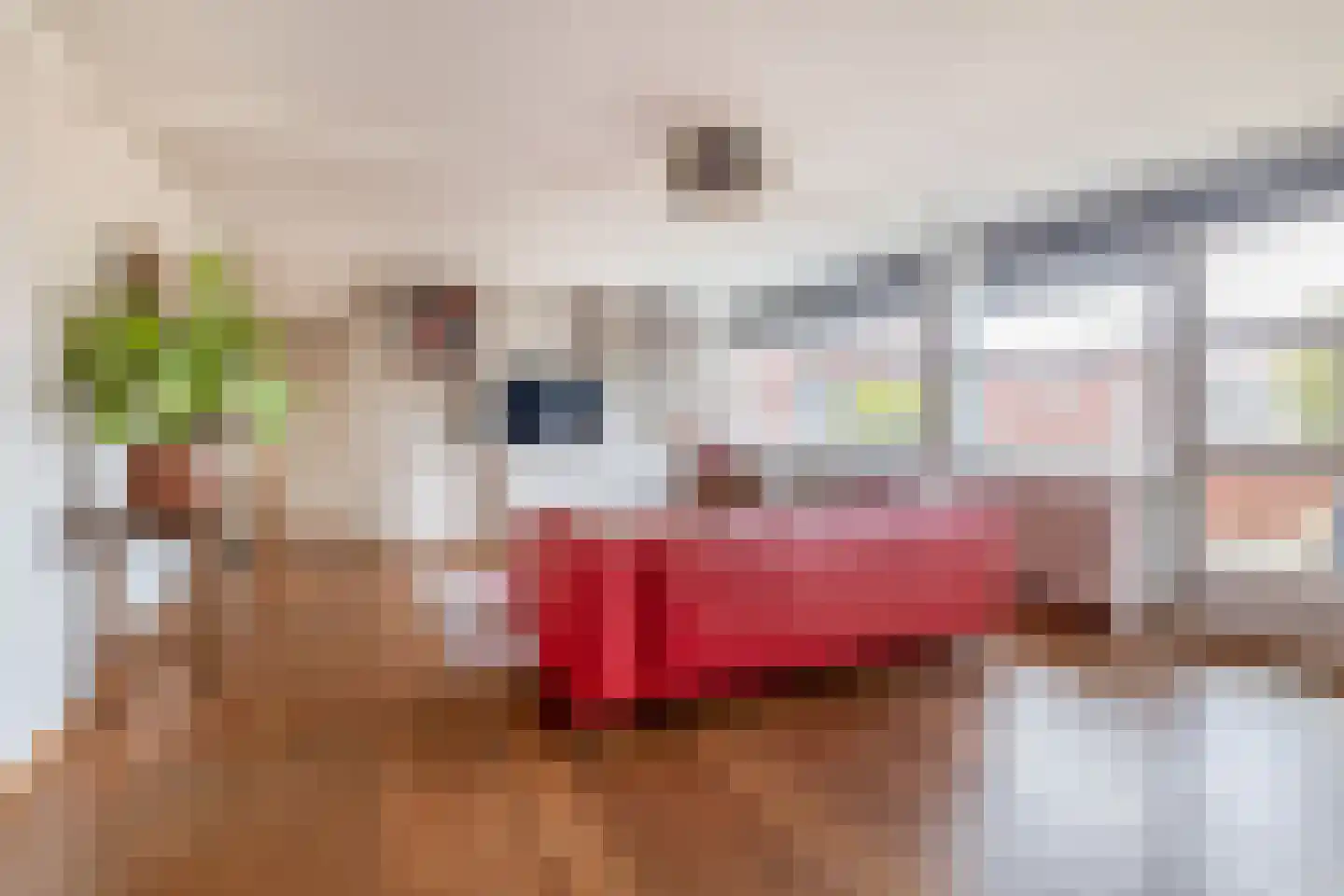 Jan Pannebakkerhof 42 Waalwijk thumbnail 7