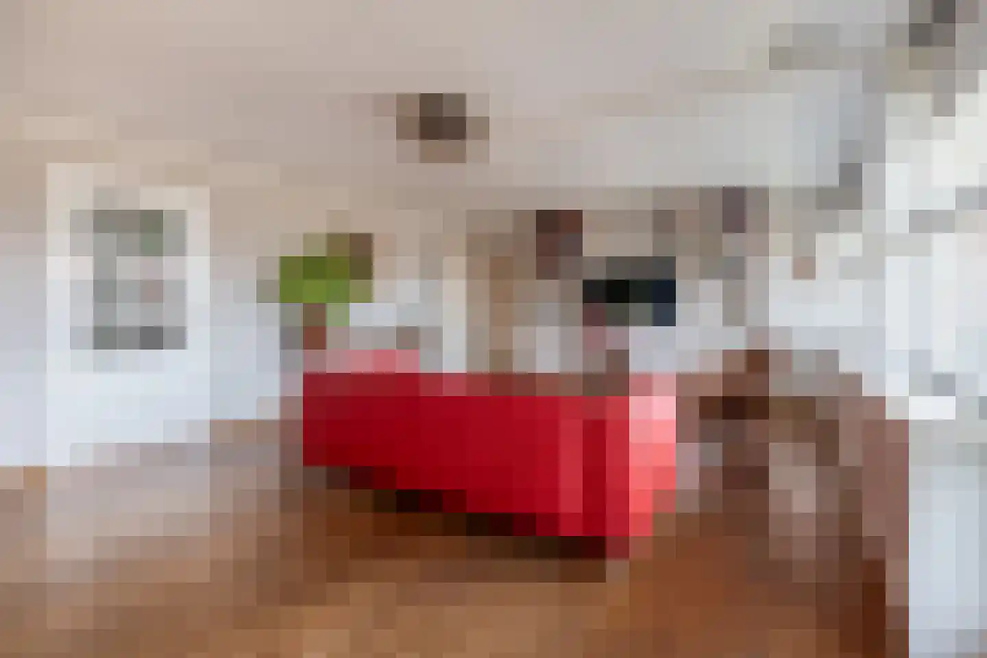 Jan Pannebakkerhof 42 Waalwijk thumbnail 8