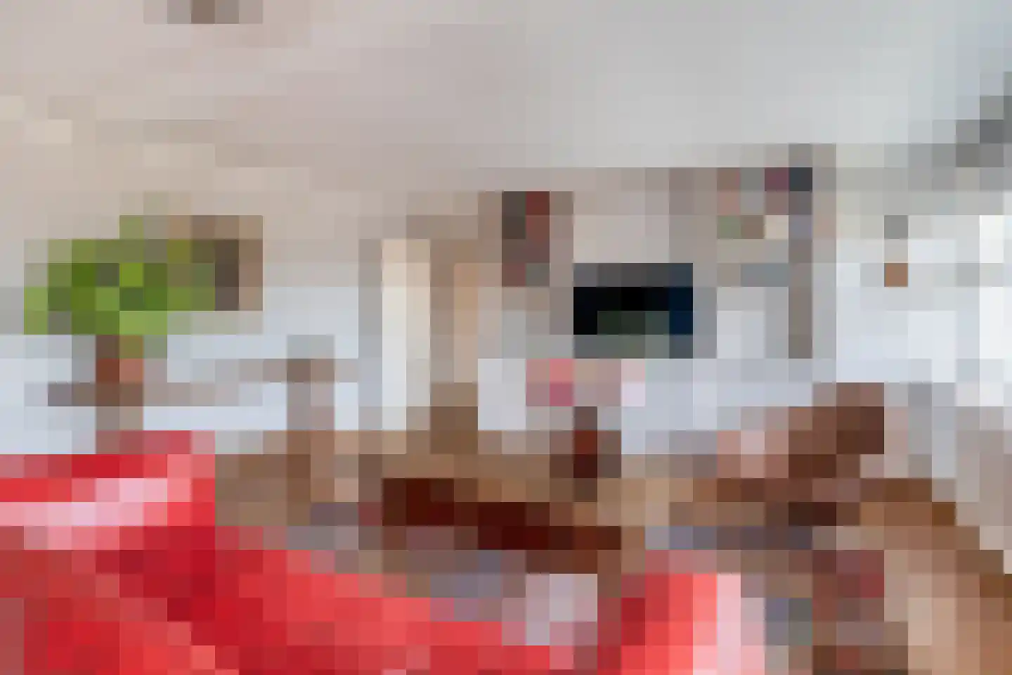 Jan Pannebakkerhof 42 Waalwijk thumbnail 9