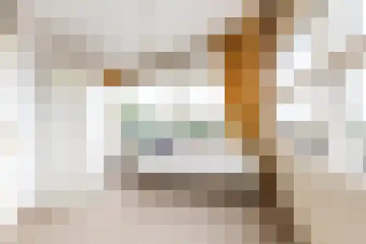 Jan Pannebakkerhof 54 Waalwijk thumbnail 17