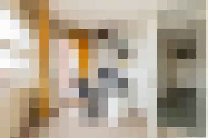 Jan Pannebakkerhof 54 Waalwijk thumbnail 18