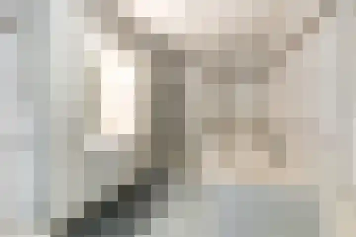 Jan Pannebakkerhof 54 Waalwijk thumbnail 19