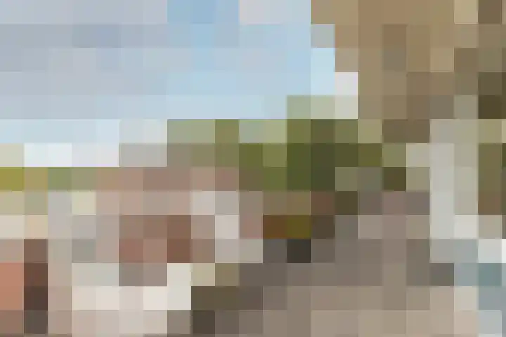 Jan Pannebakkerhof 54 Waalwijk thumbnail 24