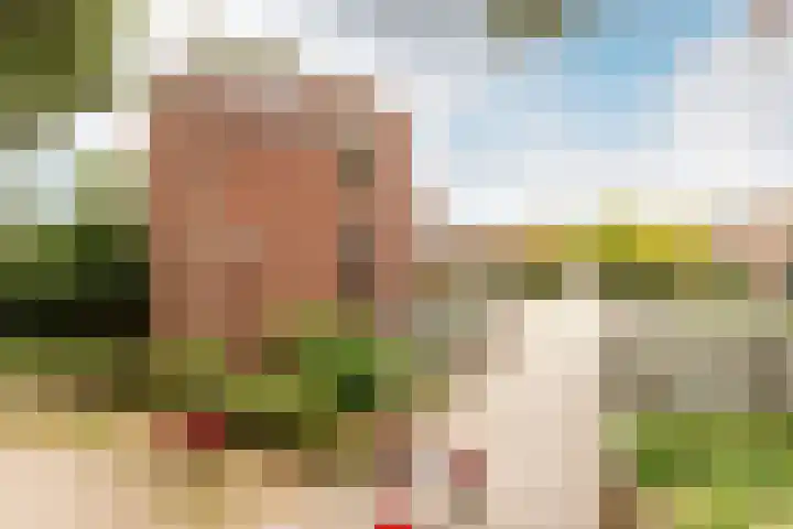 Jan Pannebakkerhof 54 Waalwijk thumbnail 34