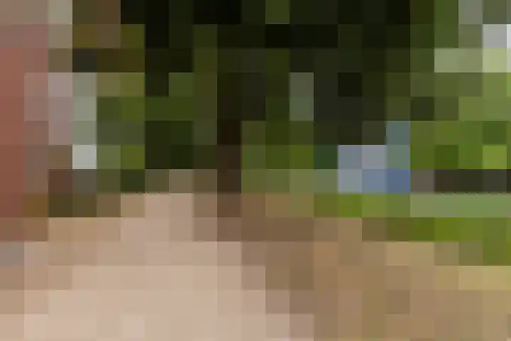 Jan Pannebakkerhof 54 Waalwijk thumbnail 36