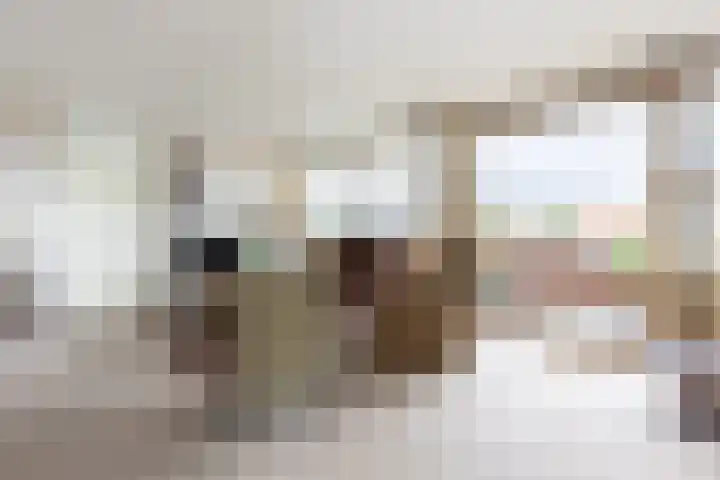 Jan Pannebakkerhof 54 Waalwijk thumbnail 5